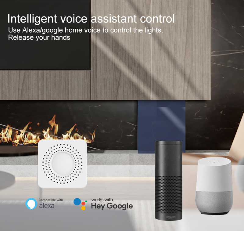 สวิตช์อัจฉริยะขนาดเล็ก Tuya Wi - Home Assistant Tuya บทวิจารณ์และราคา